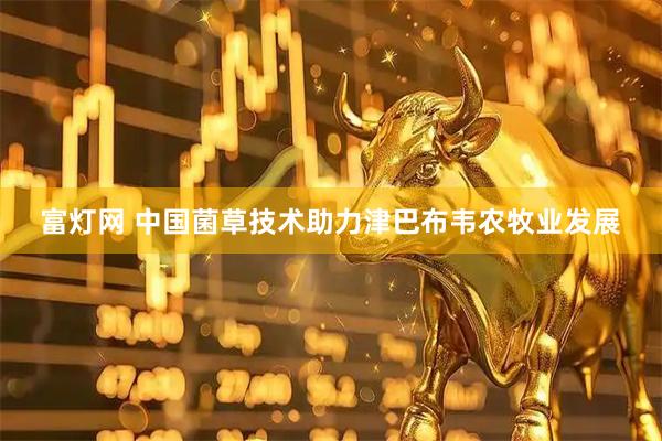 富灯网 中国菌草技术助力津巴布韦农牧业发展